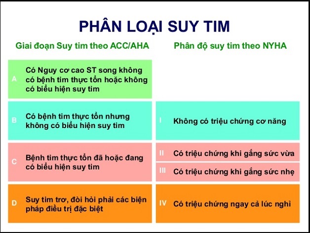 suy tim giai đoạn đầu - Image 2