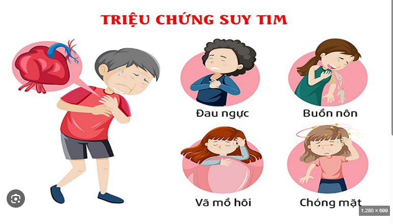 suy tim giai đoạn đầu - Image 3