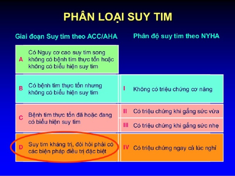 suy tim giai đoạn đầu