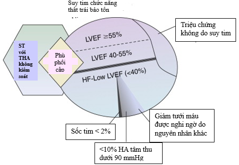 suy tim mất bù