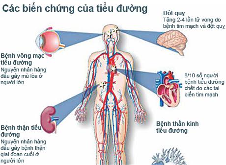 suy tim ở người tiểu đường - Image 5