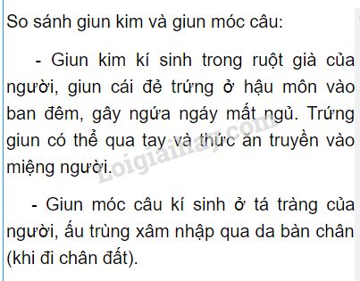 tác hại của giun kim sinh học 7 - Image 4