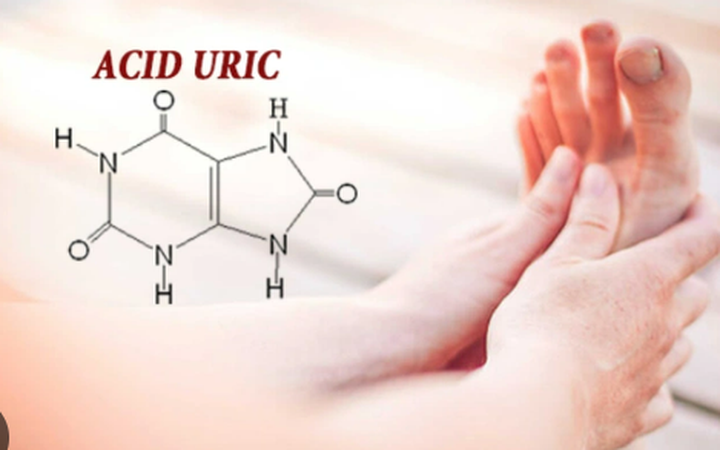 tăng acid uric ở người cao tuổi - Image 2