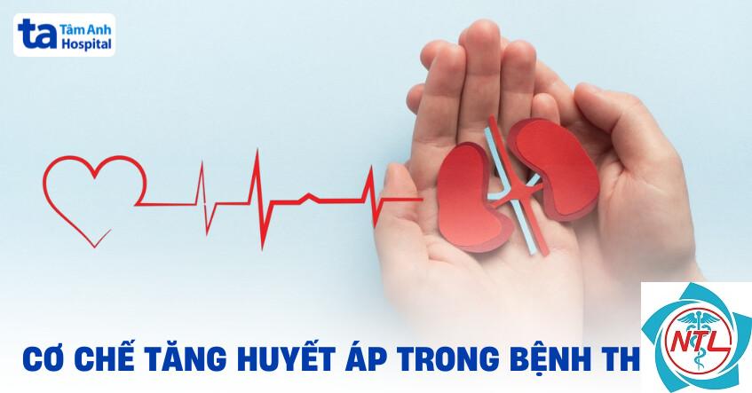 tăng huyết áp do bệnh thận - Image 3