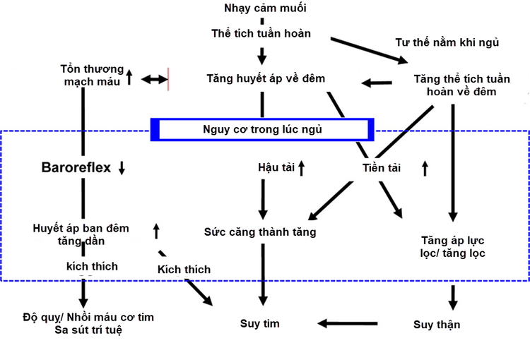 tăng huyết áp về đêm ở người cao tuổi - Image 5