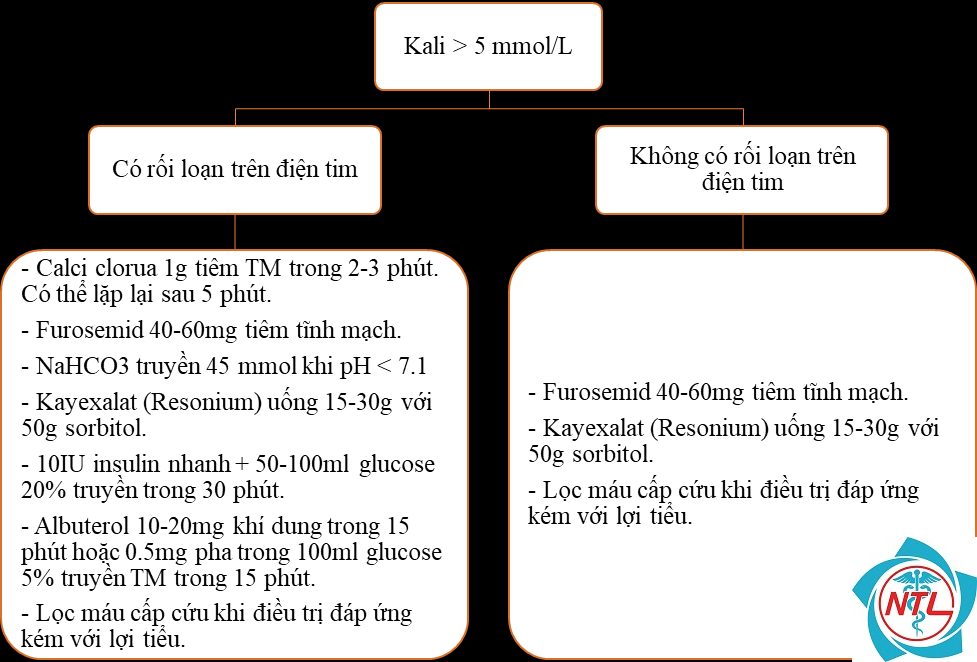 tăng kali máu do suy thận - Image 3