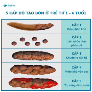 táo bón