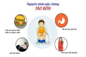 táo bón do ít vận động
