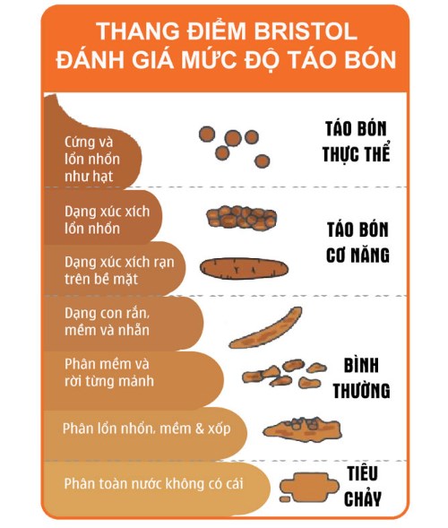 táo bón là gì - Image 3