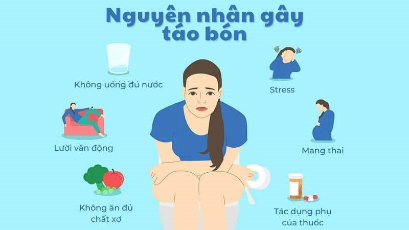 táo bón là gì - Image 5
