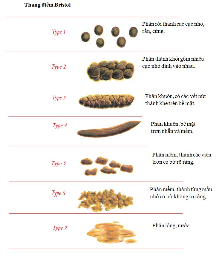 táo bón xen kẽ tiêu chảy - Image 3