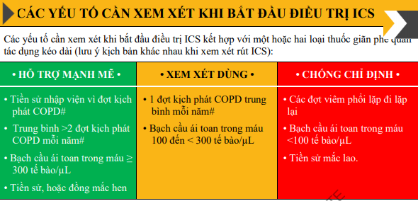 theo dõi bệnh copd lâu dài - Image 1