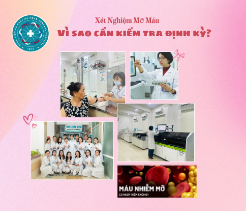 theo dõi mỡ máu định kỳ - Image 4