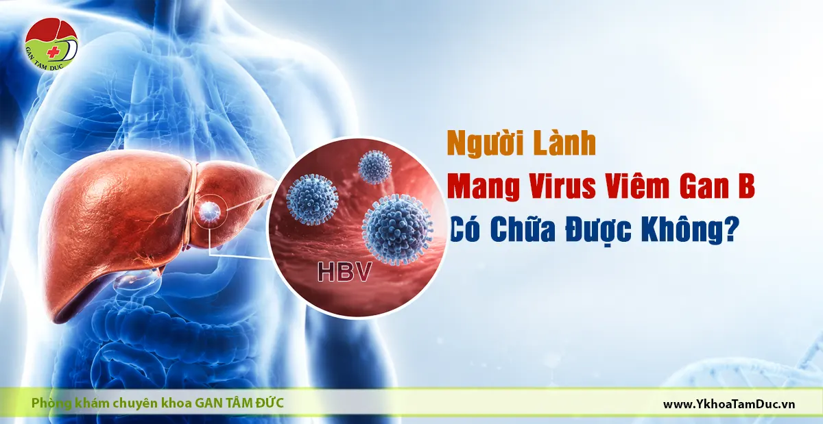 theo dõi viêm gan B mạn tính - Image 3