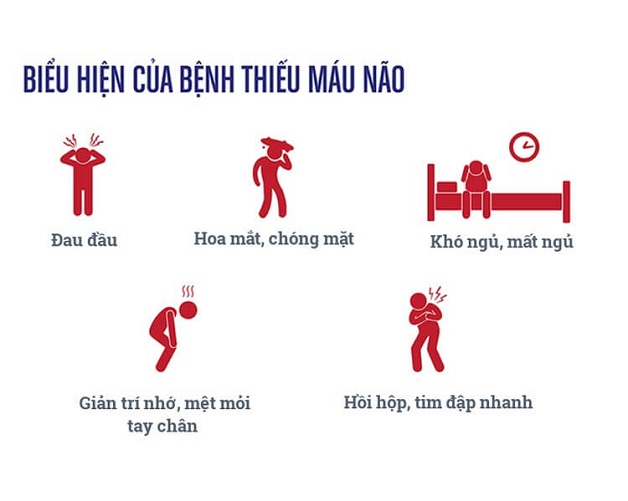 thiếu máu kèm chóng mặt - Image 2