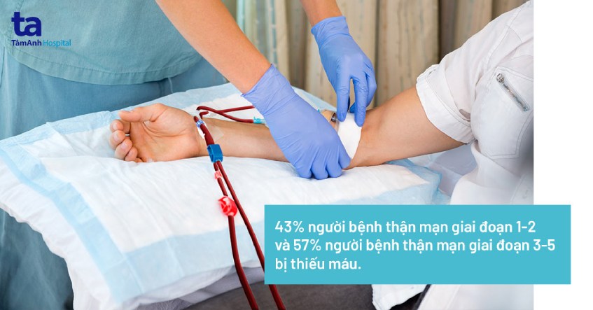 thiếu máu ở người bệnh thận mạn - Image 5