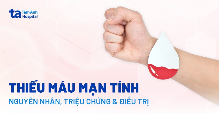 thiếu máu ở người có bệnh mạn tính - Image 2