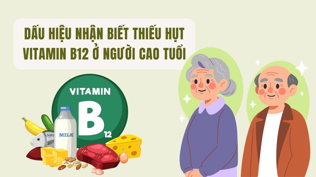 thiếu vitamin B12 ở người cao tuổi
