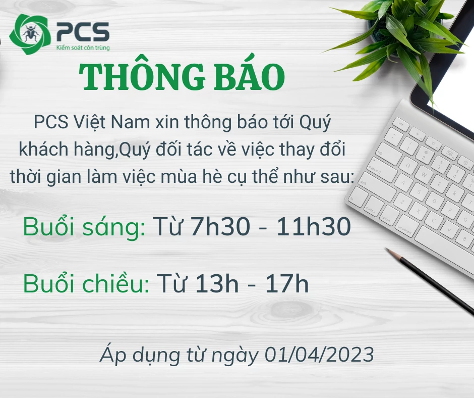 thông báo lịch làm việc công ty - Image 4