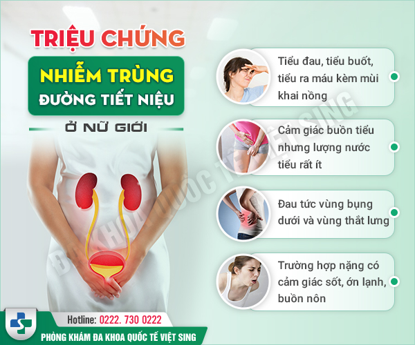 tiểu buốt khám khoa nội tổng hợp - Image 4