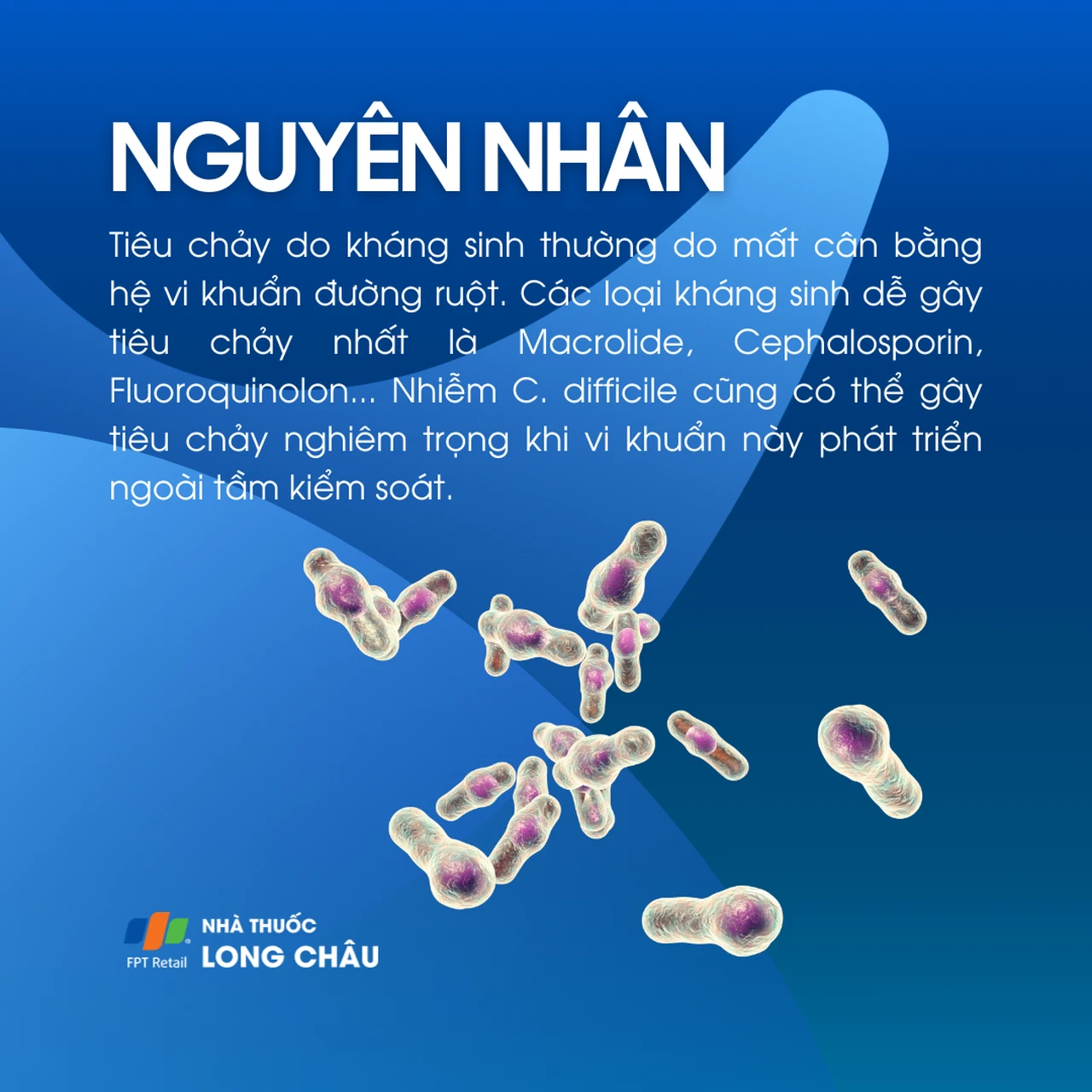 tiêu chảy sau khi dùng kháng sinh - Image 5