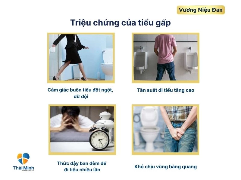 tiểu gấp - Image 3
