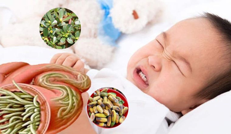 trẻ em 2 tuổi có tẩy giun được không