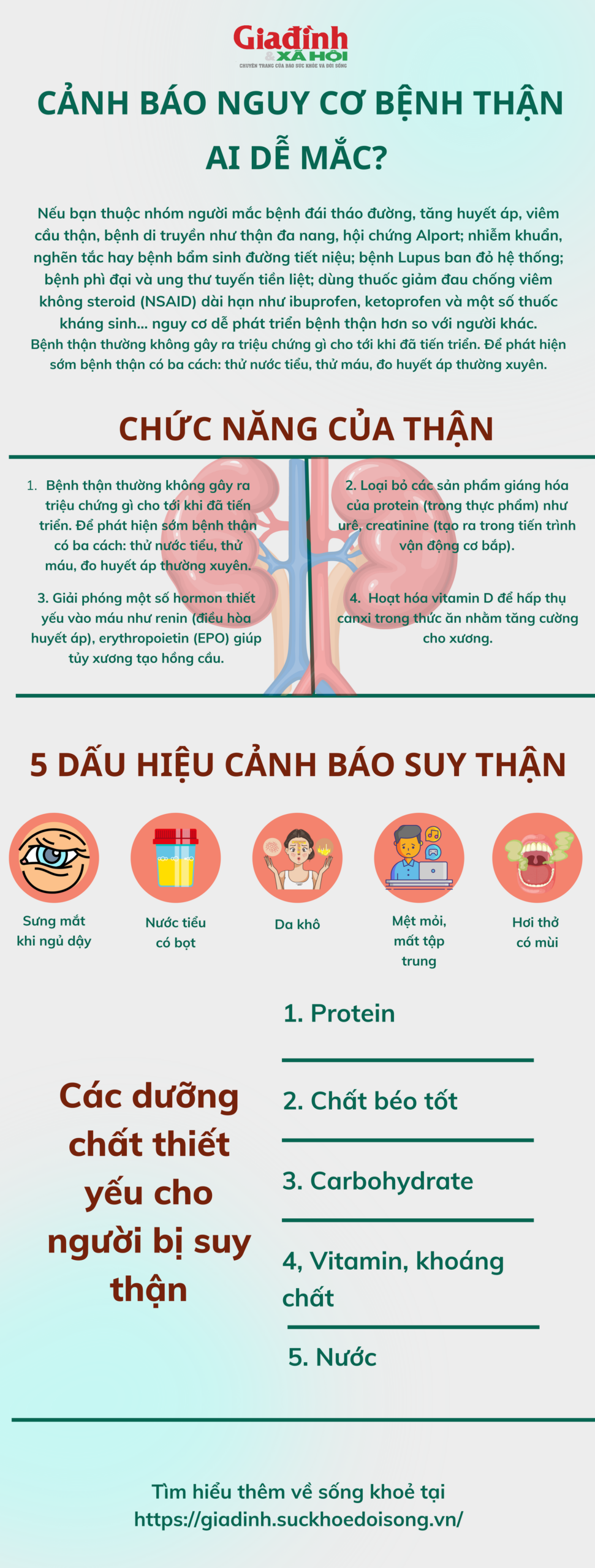 triệu chứng bệnh thận mạn - Image 5