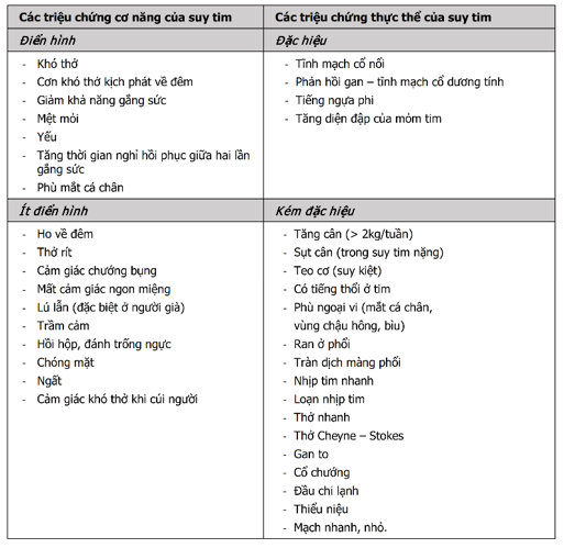 triệu chứng cơ năng và thực thể - Image 3