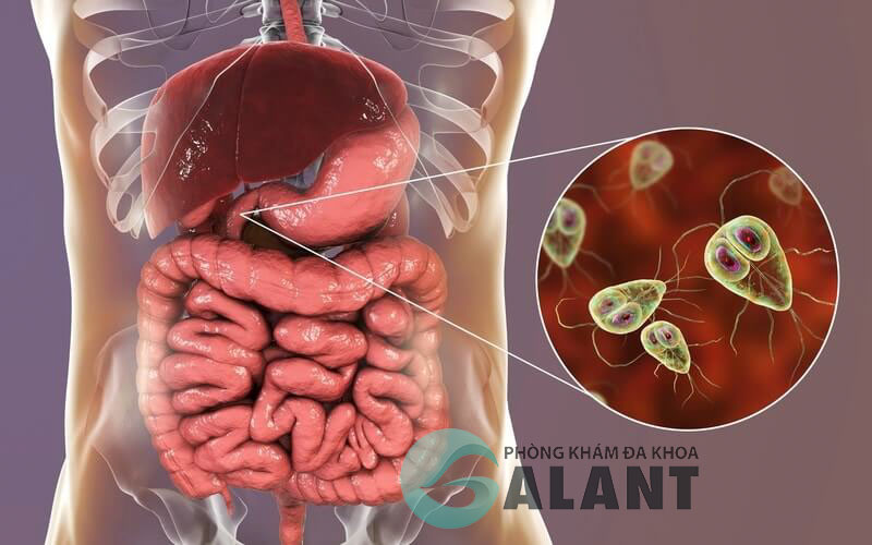 triệu chứng đau bụng giun ở người lớn