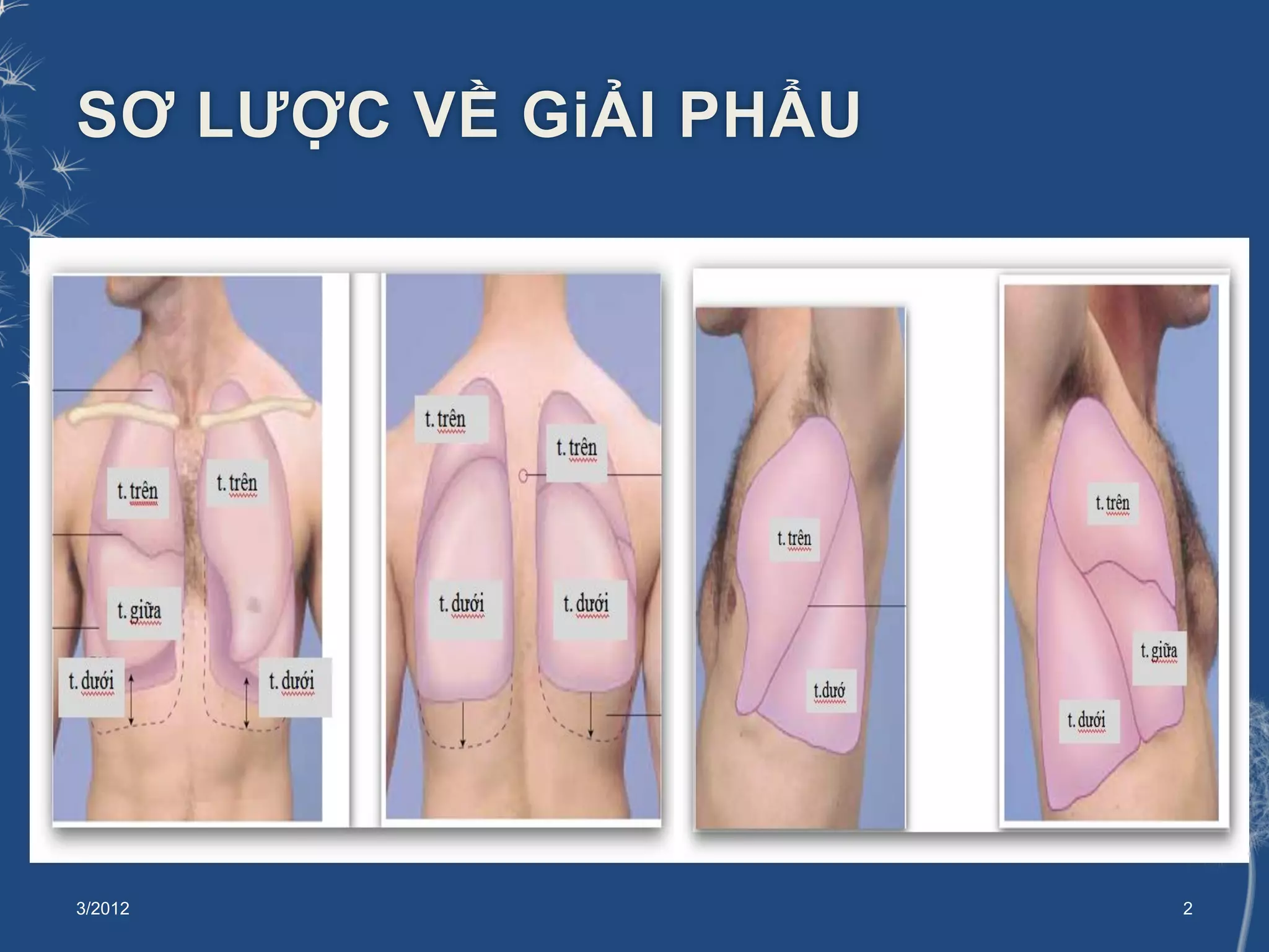triệu chứng thực thể - Image 3