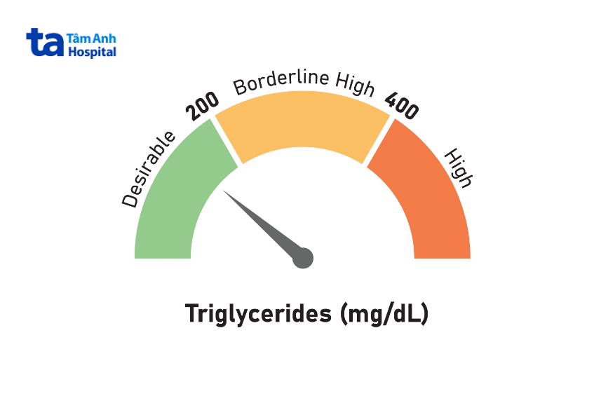 triglyceride cao ở người lớn - Image 2
