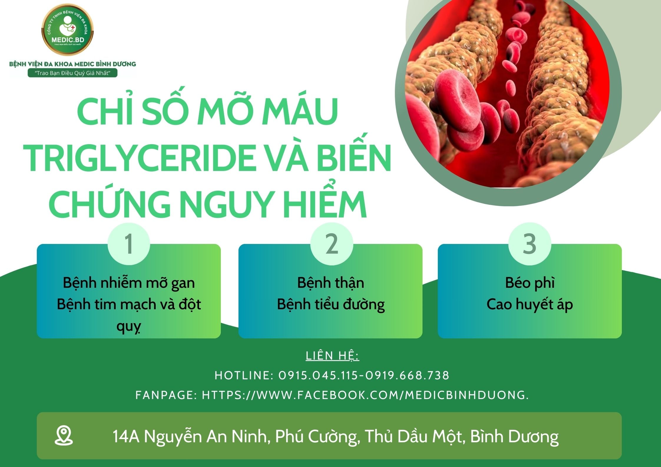 triglyceride cao và gan nhiễm mỡ - Image 2