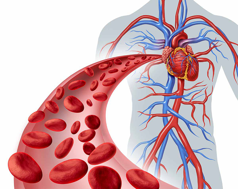 triglyceride cao và gan nhiễm mỡ