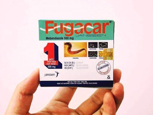 uống thuốc tẩy giun như thế nào cho đúng cách - Image 2