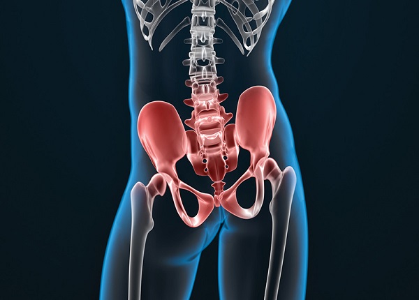 vị trí xương chậu - Image 4