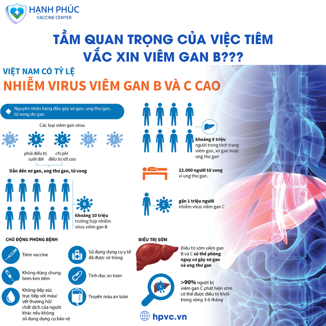 viêm gan B ở người lớn - Image 5