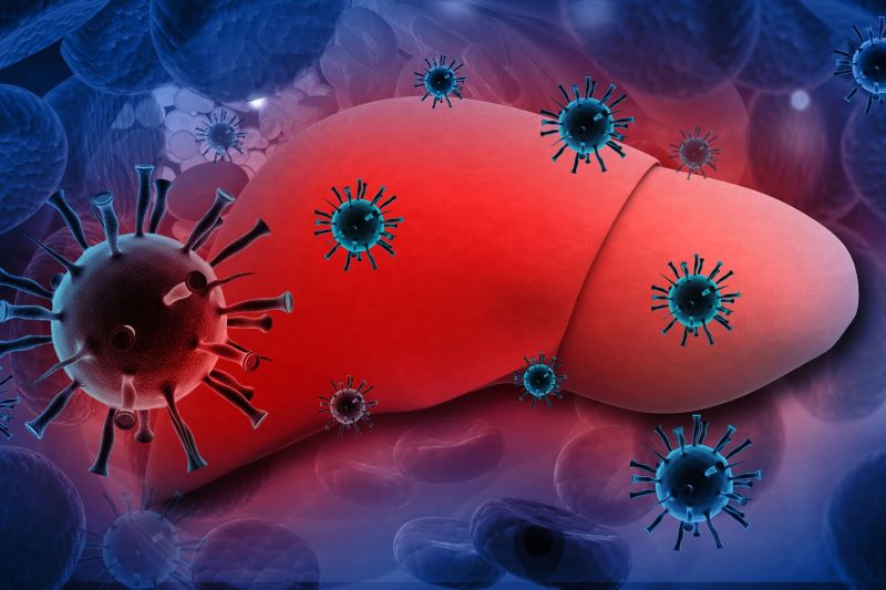 viêm gan virus - Image 2