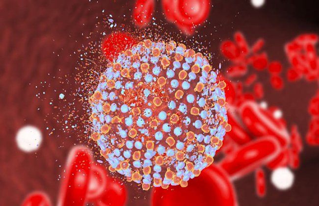 viêm gan virus - Image 4