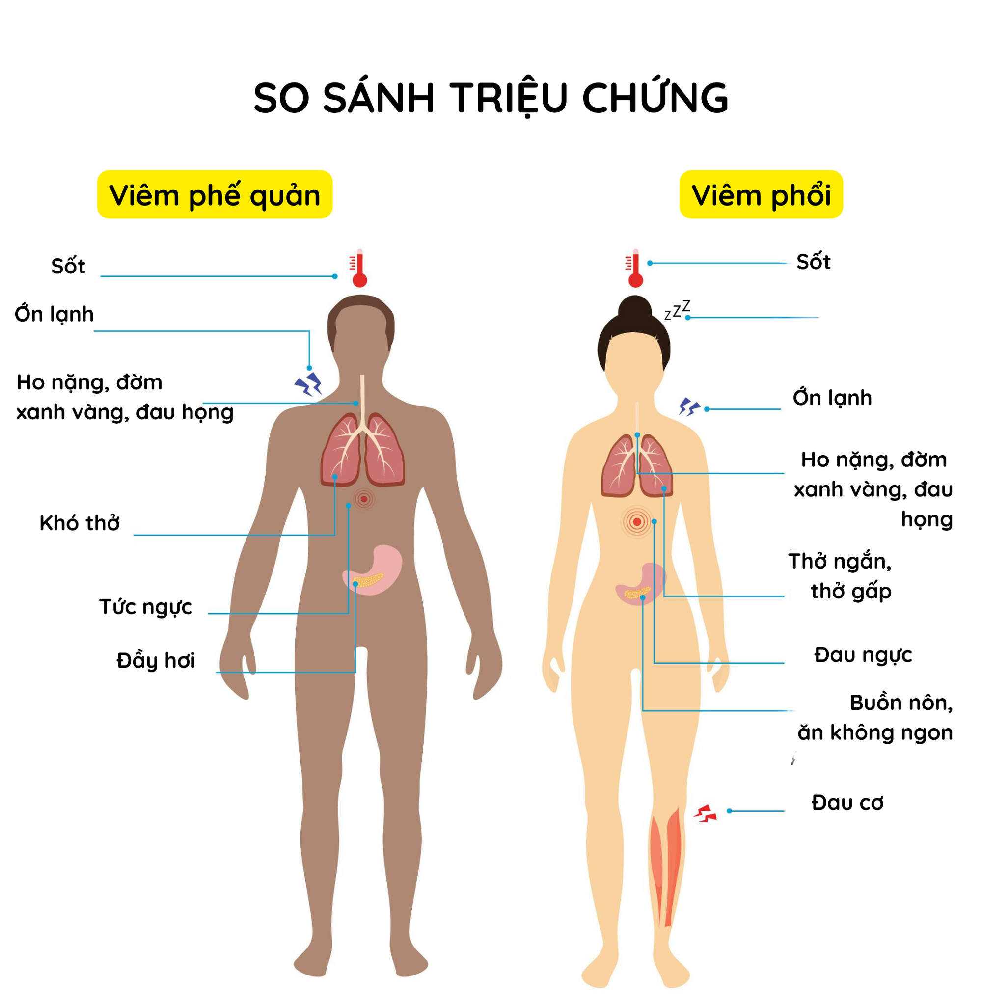 viêm phế quản kèm sốt - Image 3