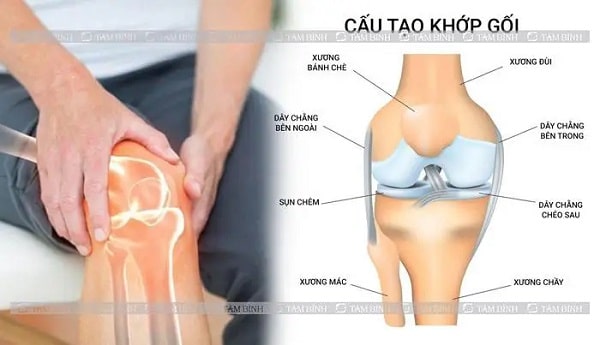 xương chày nằm ở đâu