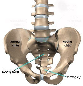 xương cùng cụt - Image 2