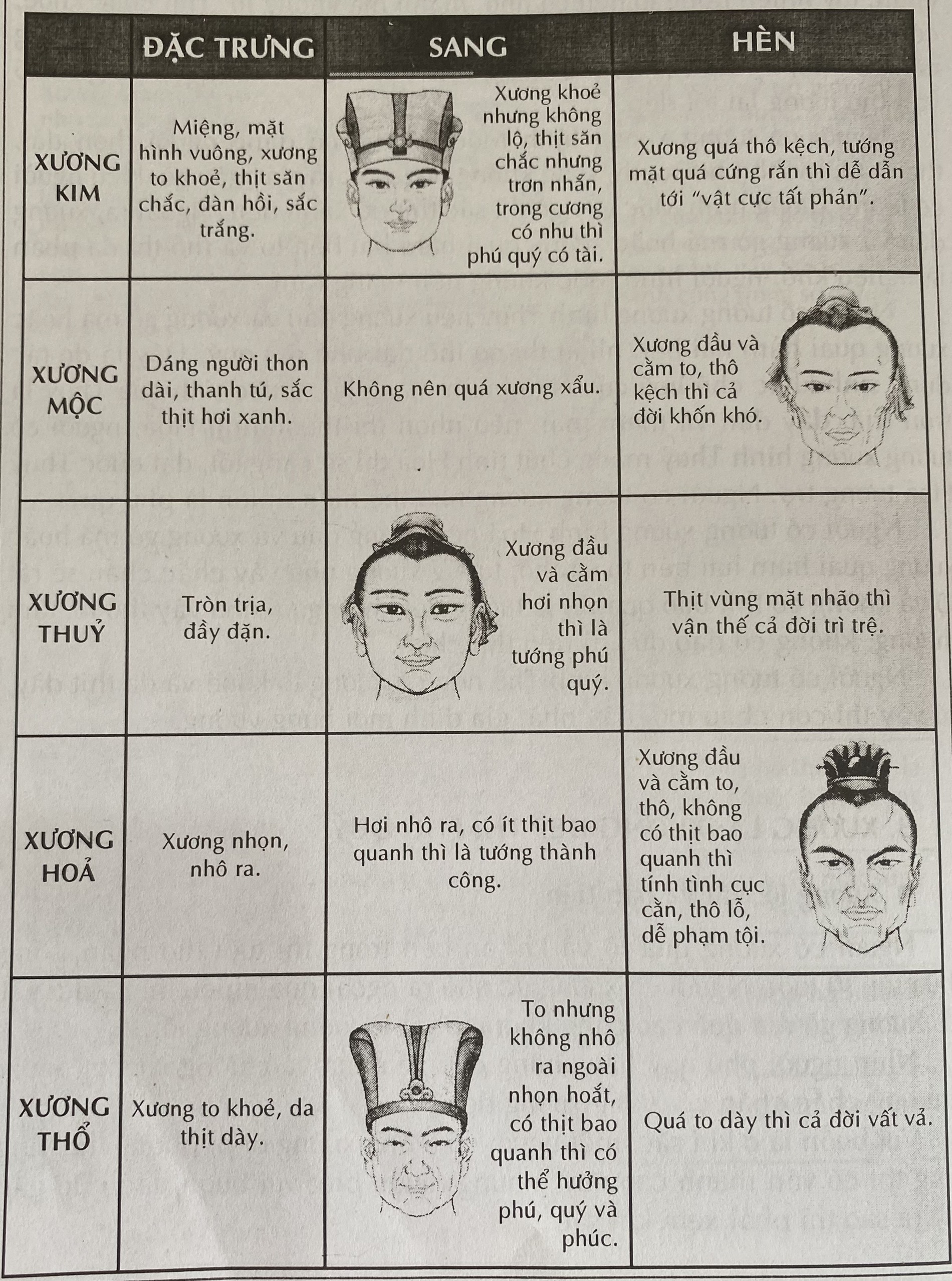 xương phục tê là gì - Image 3