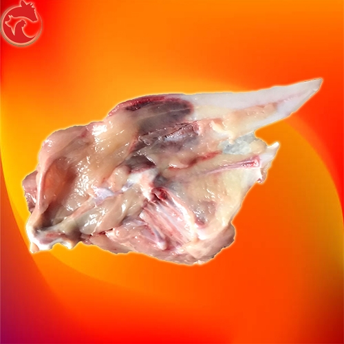xương ức gà - Image 3