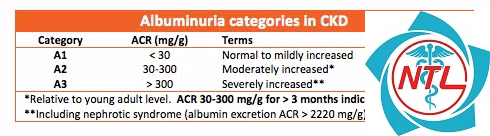 albumin niệu vi lượng - Image 3