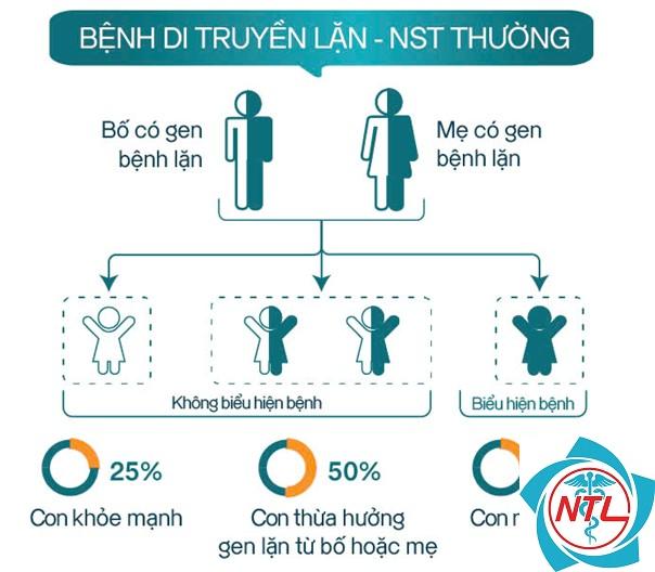 bệnh thận đa nang lặn nhiễm sắc thể thường - Image 3