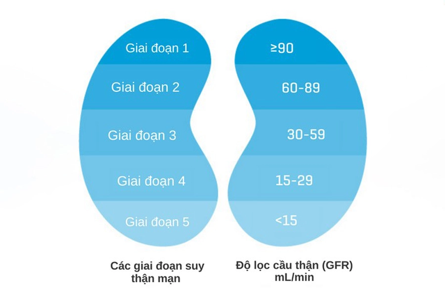 bệnh thận do chì - Image 3