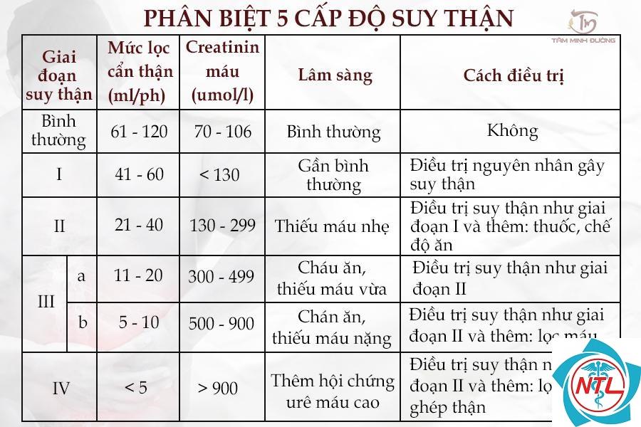 bệnh thận do chì - Image 5