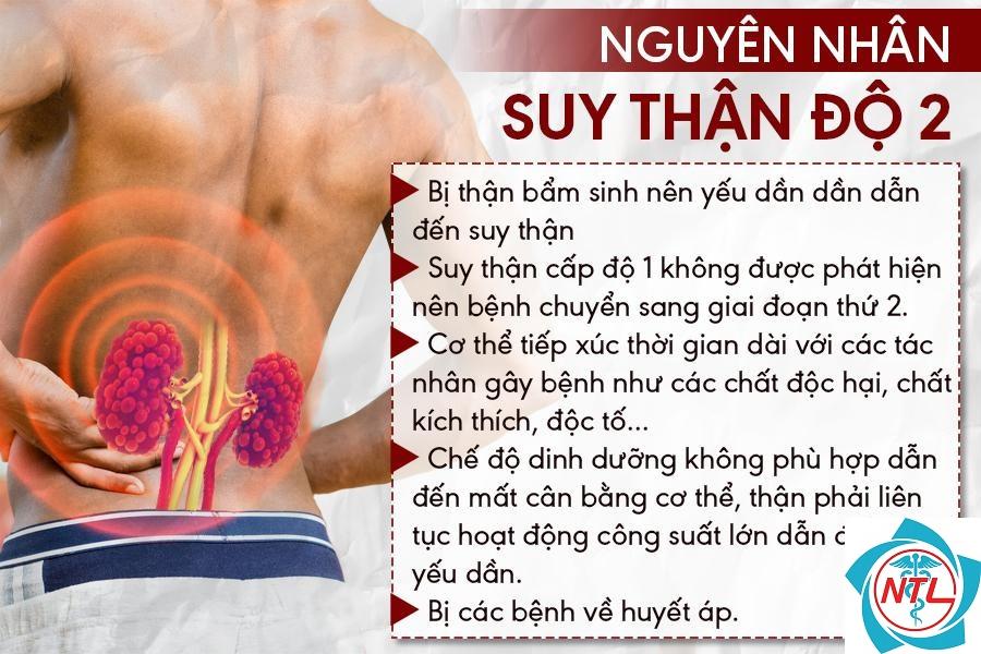 bệnh thận do chì