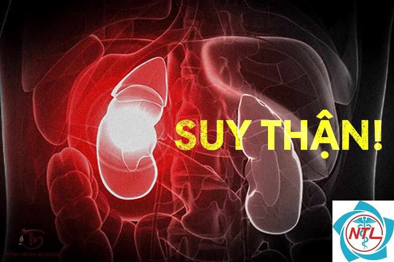 bệnh thận do đa u tủy - Image 4